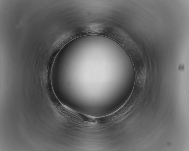 X0000097510552200802221509