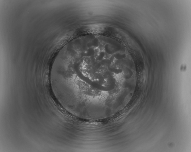 X0000097510553200802221509