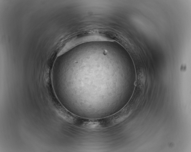 X0000097510554200802221509