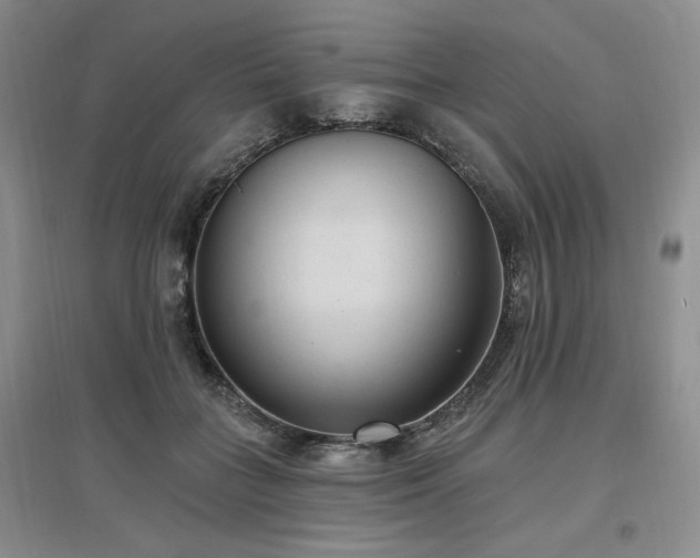 X0000097510555200802221509