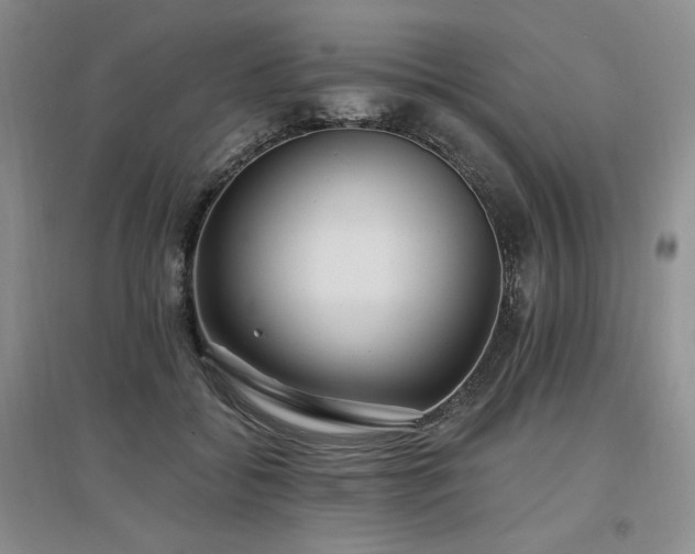X0000097510556200802221509