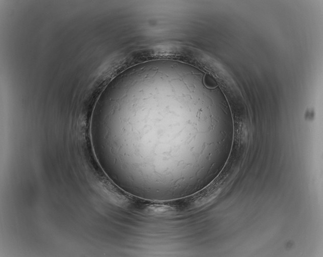 X0000097510557200802221509