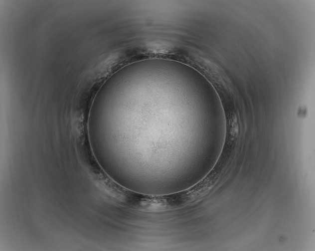 X0000097510559200802221509