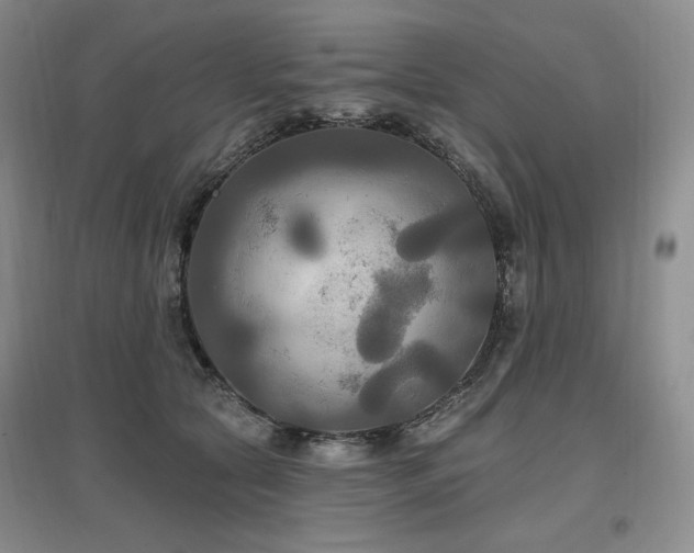 X0000097510561200802221509
