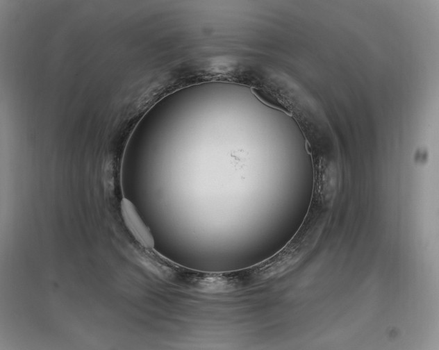 X0000097510562200802221509