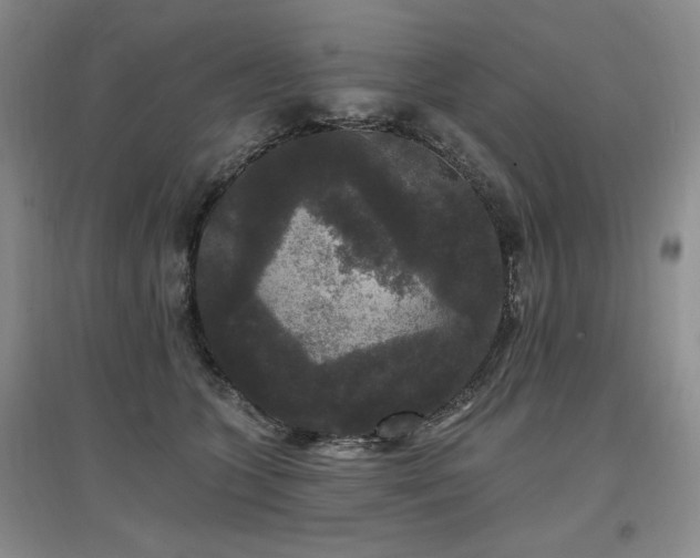 X0000097510563200802221509