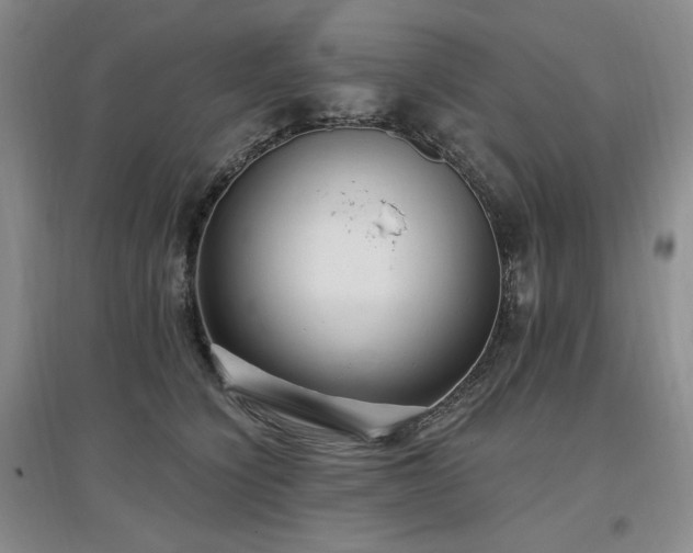 X0000097510564200802221509