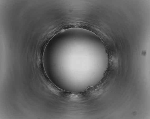 X0000097510566200802221509