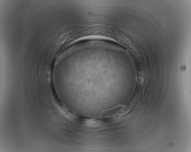 X0000097510568200802221510