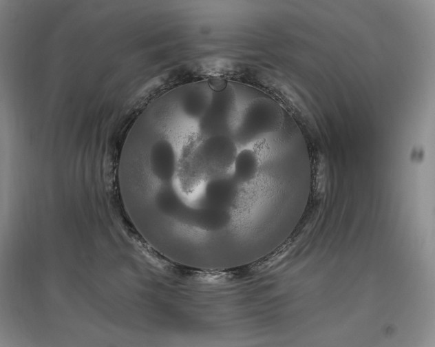 X0000097510569200802221510