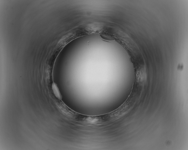 X0000097510570200802221510