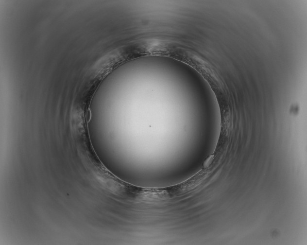 X0000097510571200802221510