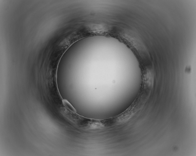 X0000097510572200802221510