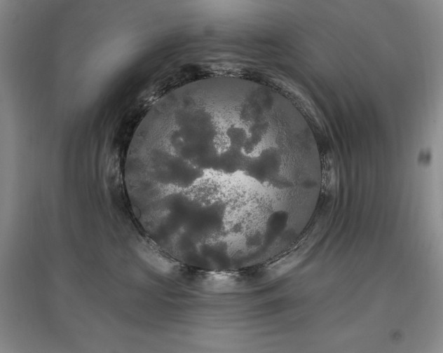 X0000097510573200802221510