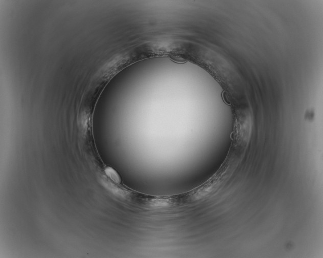 X0000097510574200802221510