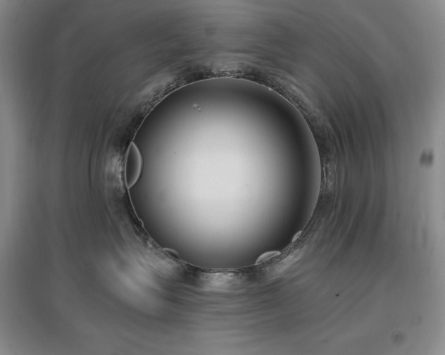 X0000097510575200802221510