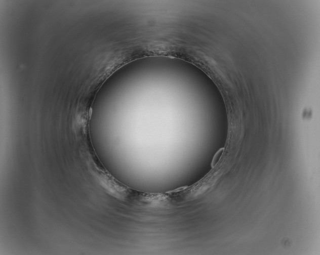 X0000097510576200802221510