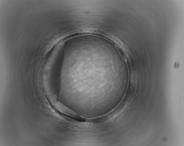 X0000097510577200802221509