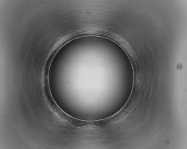 X0000097510578200802221509