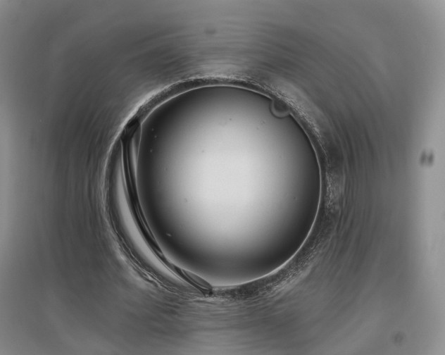 X0000097510580200802221509