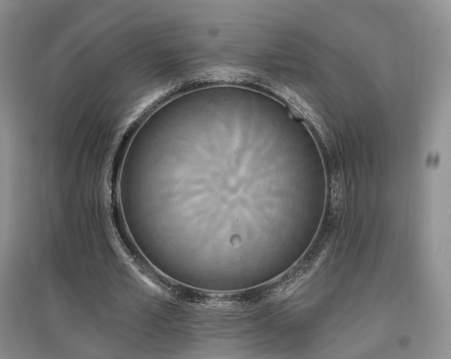 X0000097510581200802221509