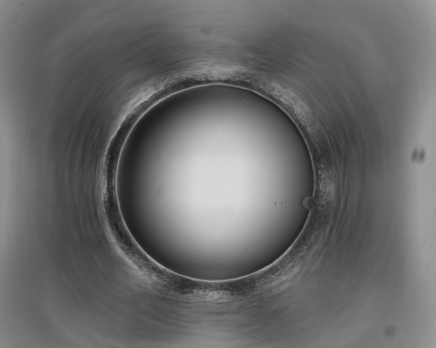 X0000097510582200802221509