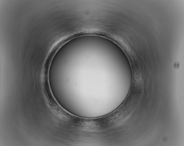 X0000097510583200802221509