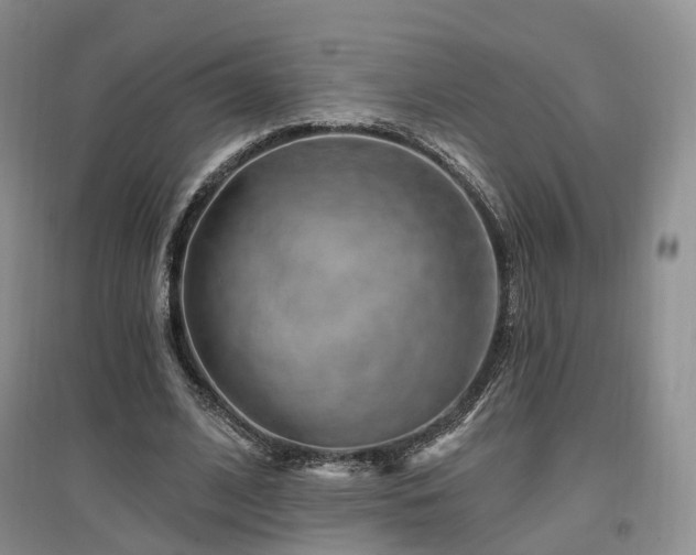 X0000097510584200802221509