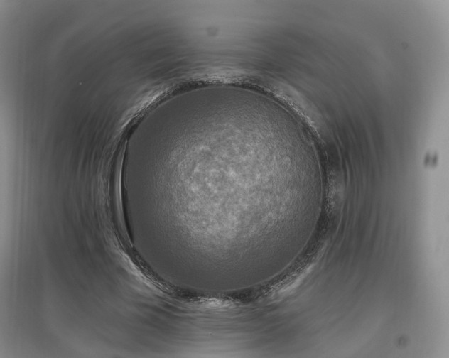 X0000097510585200802221509