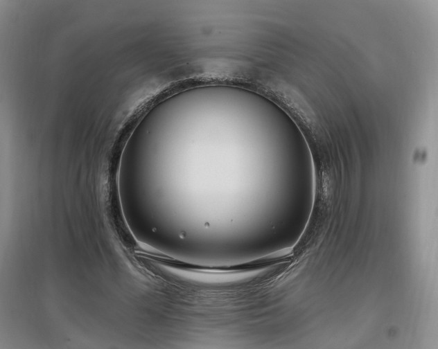 X0000097510588200802221509