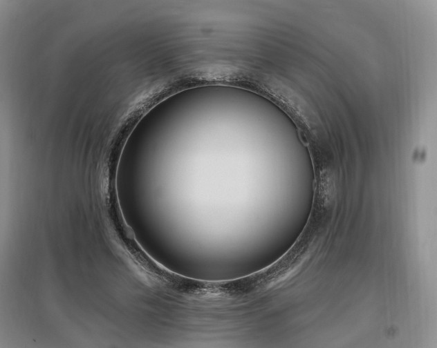 X0000097510589200802221509