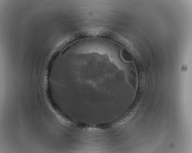 X0000097510590200802221509