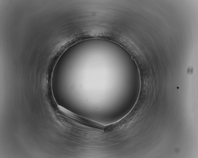 X0000097510592200802221509