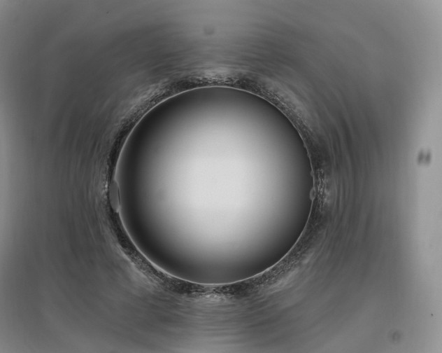 X0000097510593200802221509