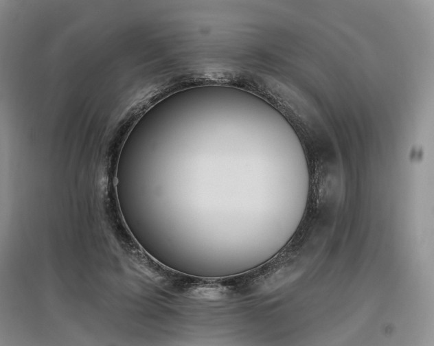 X0000097510595200802221509
