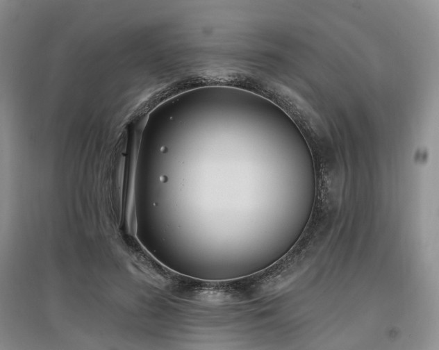 X0000097510596200802221509