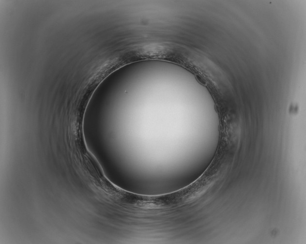 X0000097510597200802221509