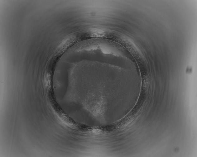 X0000097510598200802221509