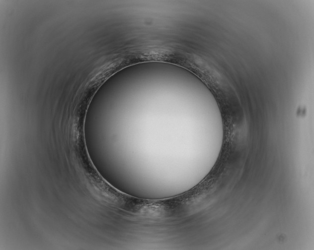 X0000097510599200802221508