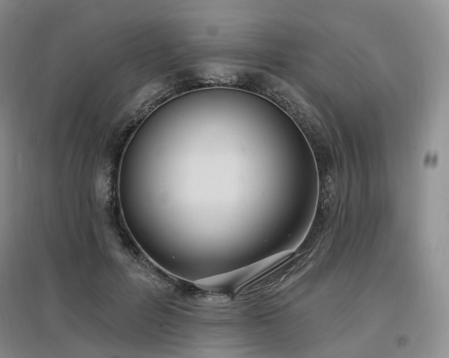 X0000097510600200802221508
