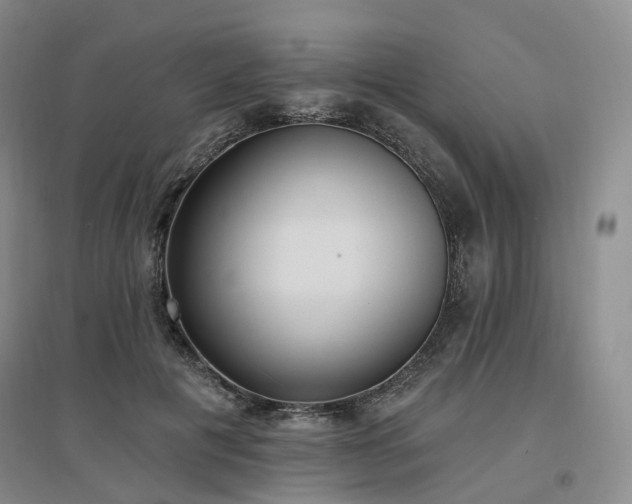 X0000097510601200802221508