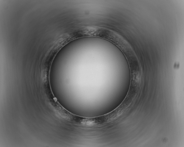 X0000097510602200802221508