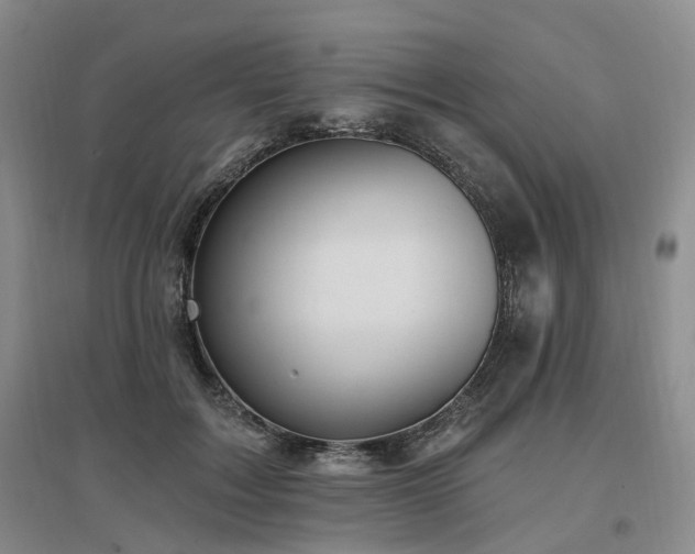 X0000097510603200802221508