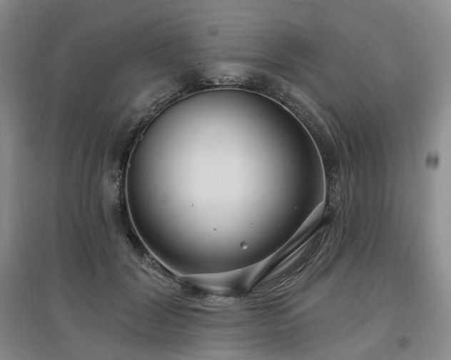 X0000097510604200802221508