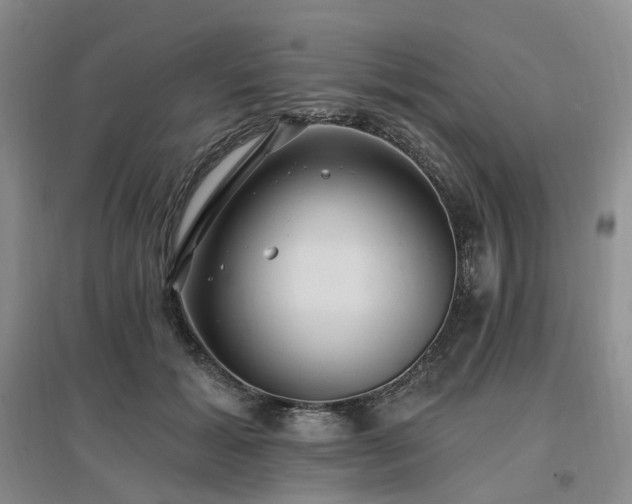 X0000097510605200802221508
