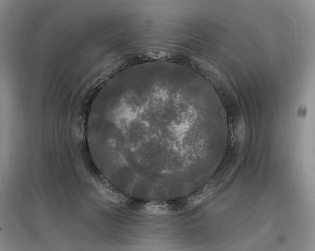 X0000097510606200802221508