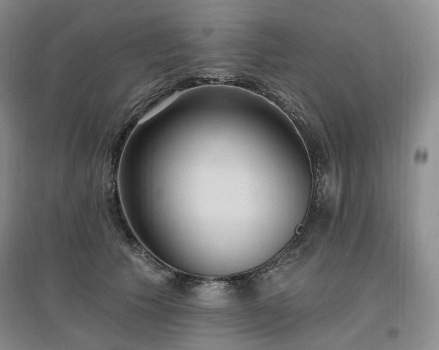 X0000097510609200802221508
