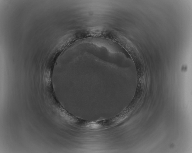 X0000097510610200802221508