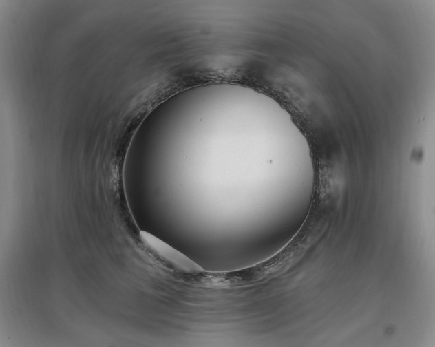 X0000097510613200802221508