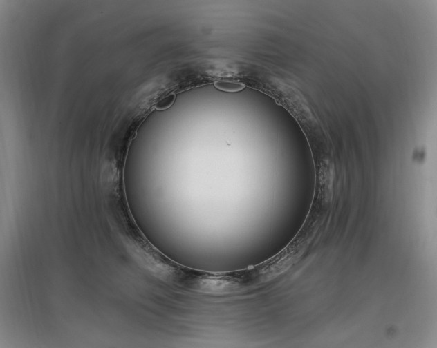 X0000097510614200802221508